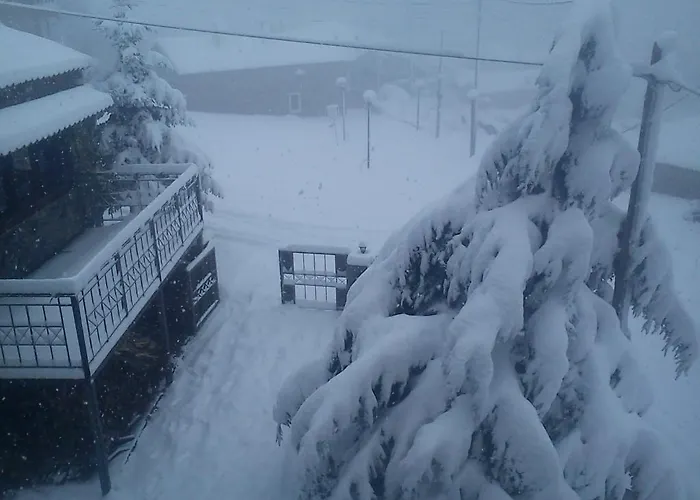 Asteras Tou Vorra Agios Athanasios (Pella)